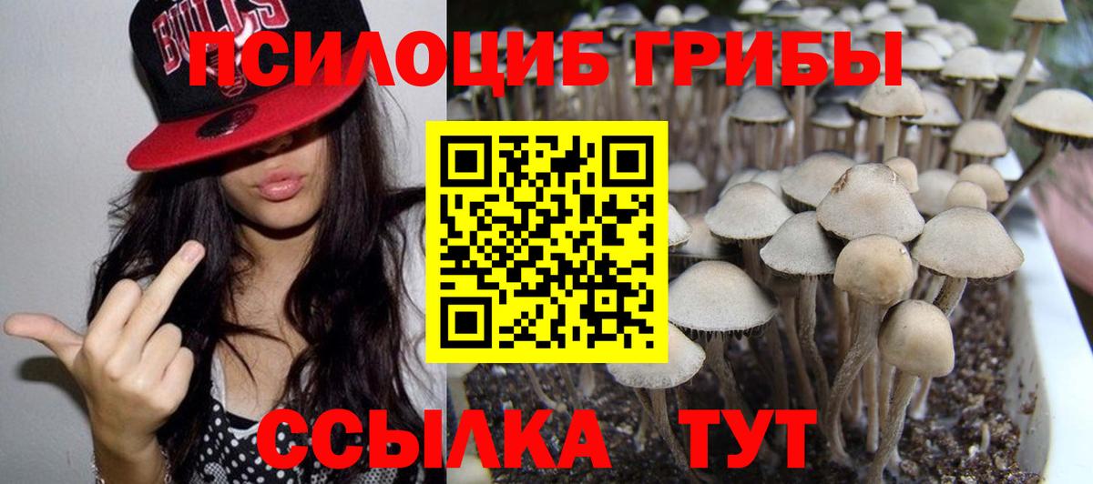 Галлюциногенные грибы ЛСД  Галлюциногенные грибы MAGIC MUSHROOMS  Новочеркасск  Вход с VPN 
