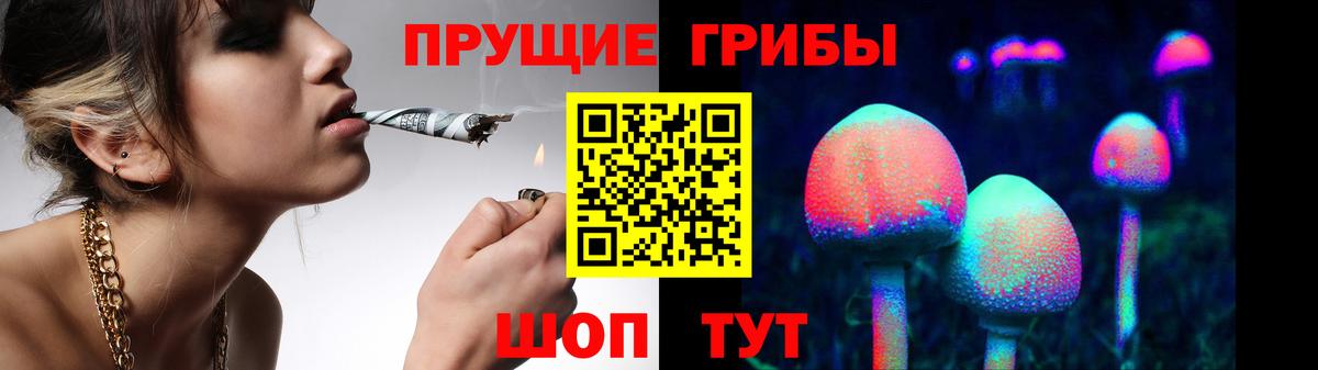 Псилоцибиновые грибы Psilocybine cubensis Новочеркасск